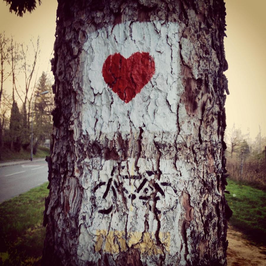 Villa Filmowiec Polanica-Zdrój Buitenkant foto