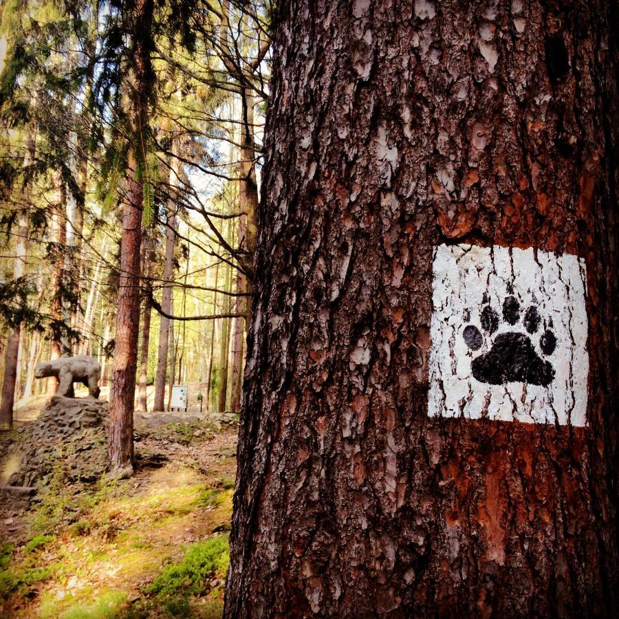 Villa Filmowiec Polanica-Zdrój Buitenkant foto